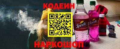 мдпв Кингисепп