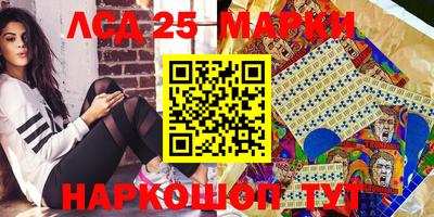 мдпв Кингисепп