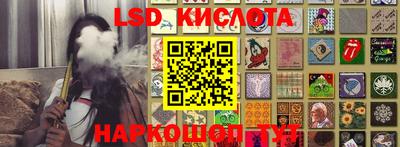 гашик Кандалакша