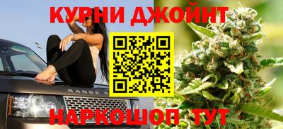 гашик Кандалакша