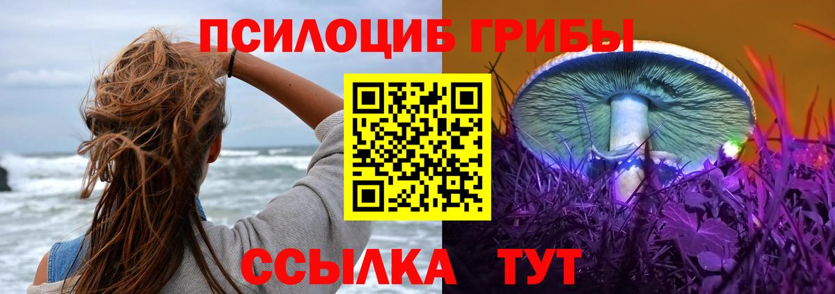 Галлюциногенные грибы GOLDEN TEACHER  Вход с VPN  Галлюциногенные грибы мухоморы  Майкоп 